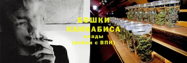 прущие грибы Аркадак