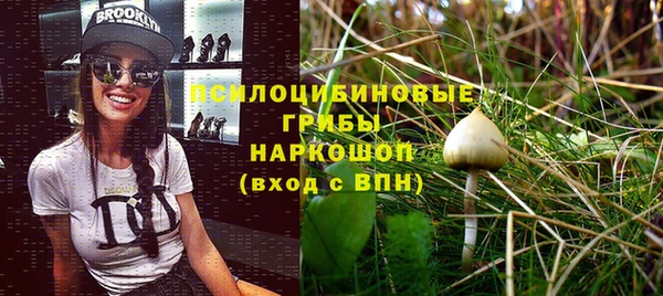 мяу мяу мука Армянск